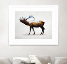 Rocky Mountain Elk by Davies Babies on GIANT ART - white animals