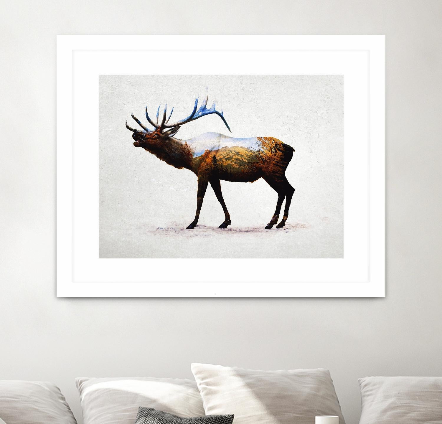 Rocky Mountain Elk by Davies Babies on GIANT ART - white animals