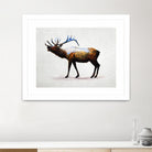 Rocky Mountain Elk by Davies Babies on GIANT ART - white animals