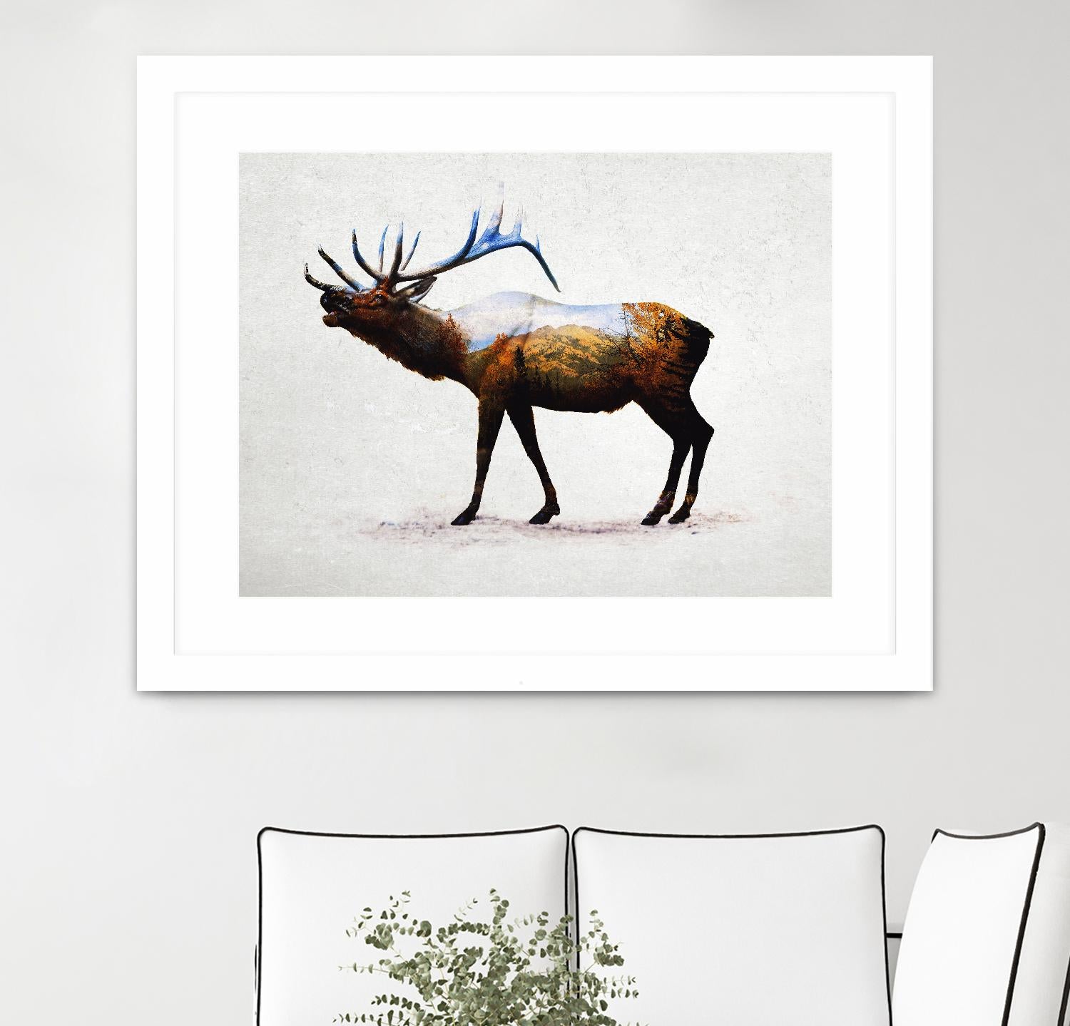 Rocky Mountain Elk by Davies Babies on GIANT ART - white animals