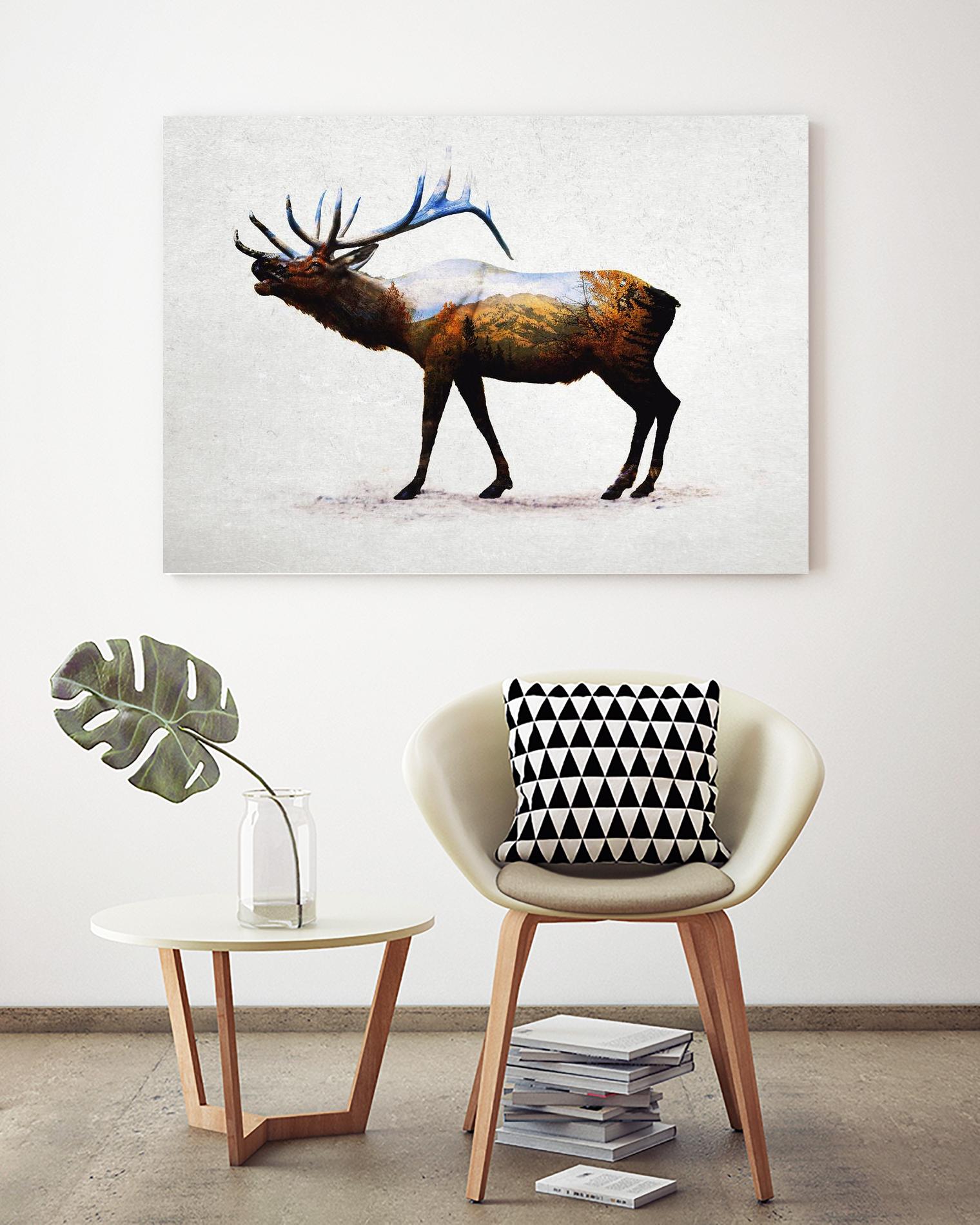 Rocky Mountain Elk by Davies Babies on GIANT ART - white animals