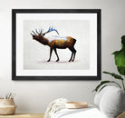 Rocky Mountain Elk by Davies Babies on GIANT ART - white animals