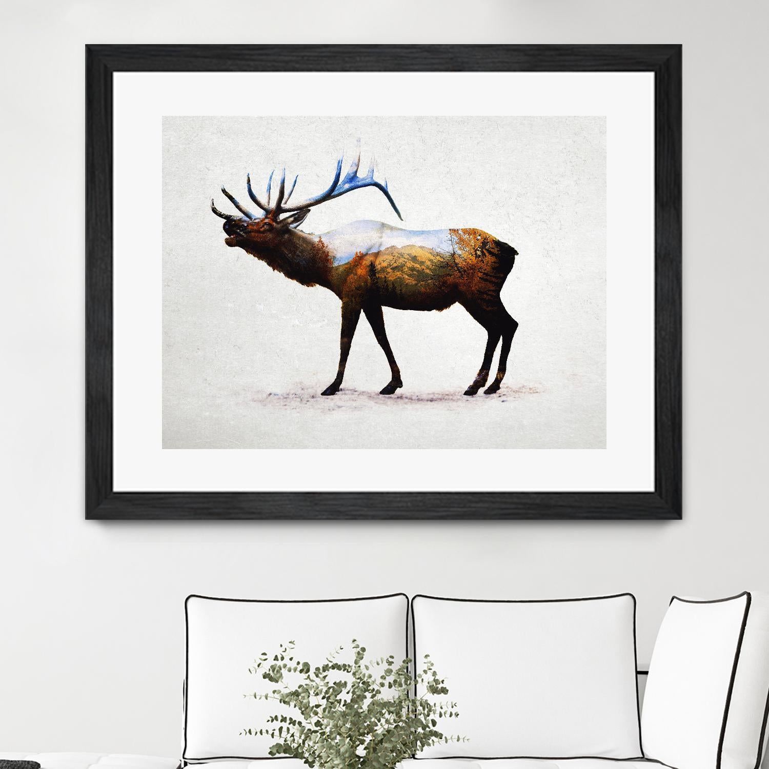 Rocky Mountain Elk by Davies Babies on GIANT ART - white animals