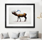 Rocky Mountain Elk by Davies Babies on GIANT ART - white animals