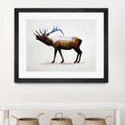 Rocky Mountain Elk by Davies Babies on GIANT ART - white animals