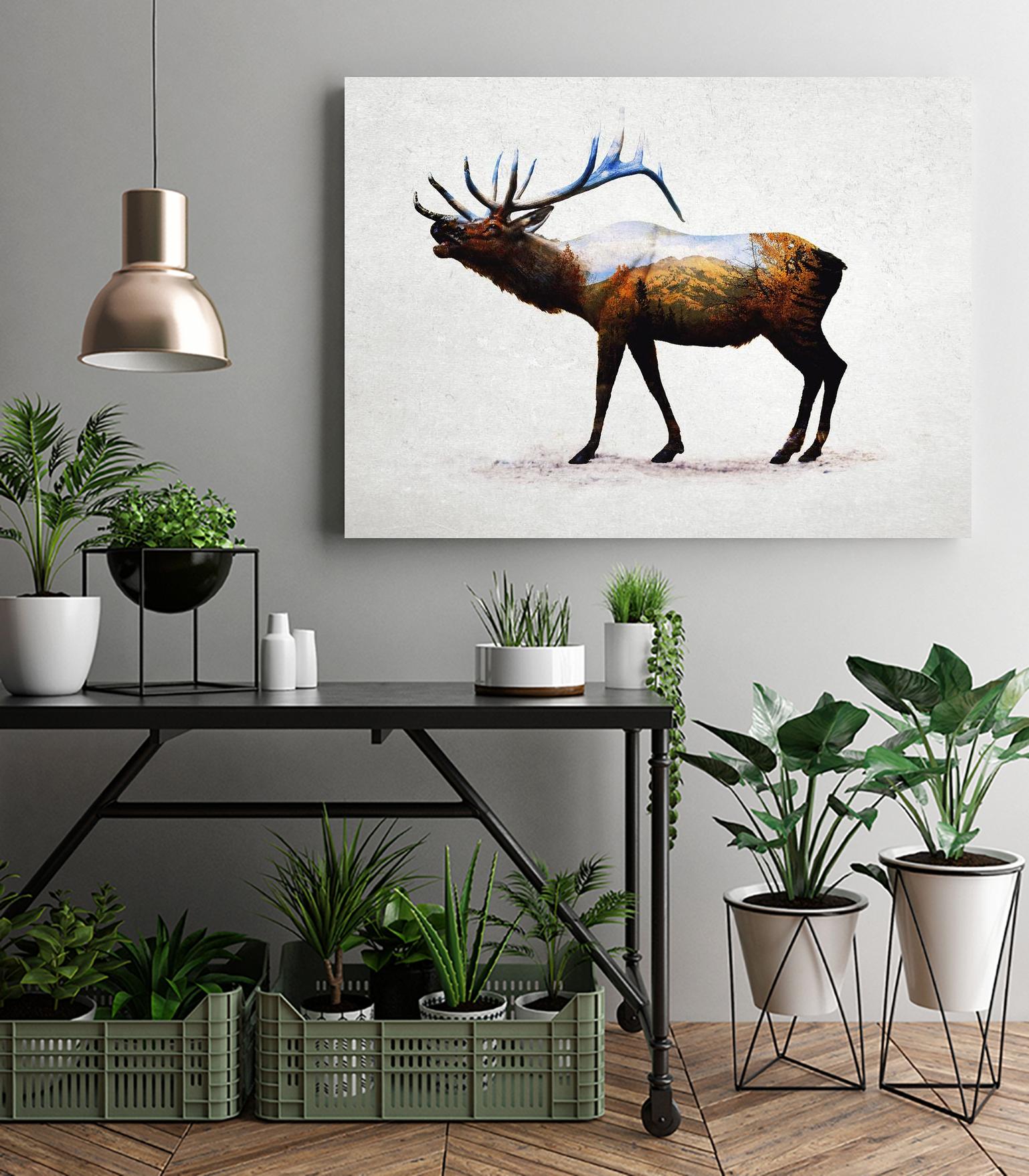 Rocky Mountain Elk by Davies Babies on GIANT ART - white animals