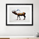 Rocky Mountain Elk by Davies Babies on GIANT ART - white animals