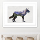 Rocky Mountain Grey Wolf by Davies Babies on GIANT ART - white animals