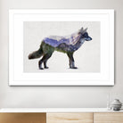 Rocky Mountain Grey Wolf by Davies Babies on GIANT ART - white animals