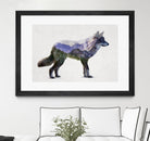 Rocky Mountain Grey Wolf by Davies Babies on GIANT ART - white animals