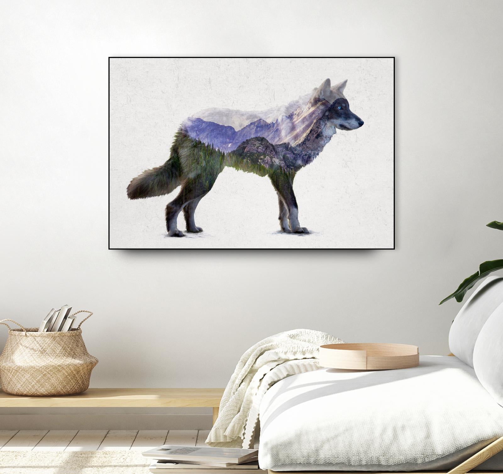 Rocky Mountain Grey Wolf by Davies Babies on GIANT ART - white animals