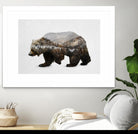 The Kodiak Brown Bear by Davies Babies on GIANT ART - white animals