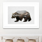 The Kodiak Brown Bear by Davies Babies on GIANT ART - white animals