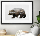 The Kodiak Brown Bear by Davies Babies on GIANT ART - white animals