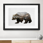 The Kodiak Brown Bear by Davies Babies on GIANT ART - white animals