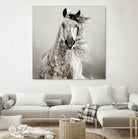 Caballo de Andaluz by Lisa Dearing on GIANT ART - grey animals