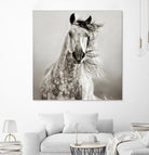 Caballo de Andaluz by Lisa Dearing on GIANT ART - grey animals