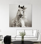 Caballo de Andaluz by Lisa Dearing on GIANT ART - grey animals