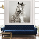 Caballo de Andaluz by Lisa Dearing on GIANT ART - grey animals