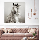 Caballo de Andaluz by Lisa Dearing on GIANT ART - grey animals