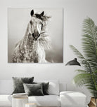 Caballo de Andaluz by Lisa Dearing on GIANT ART - grey animals