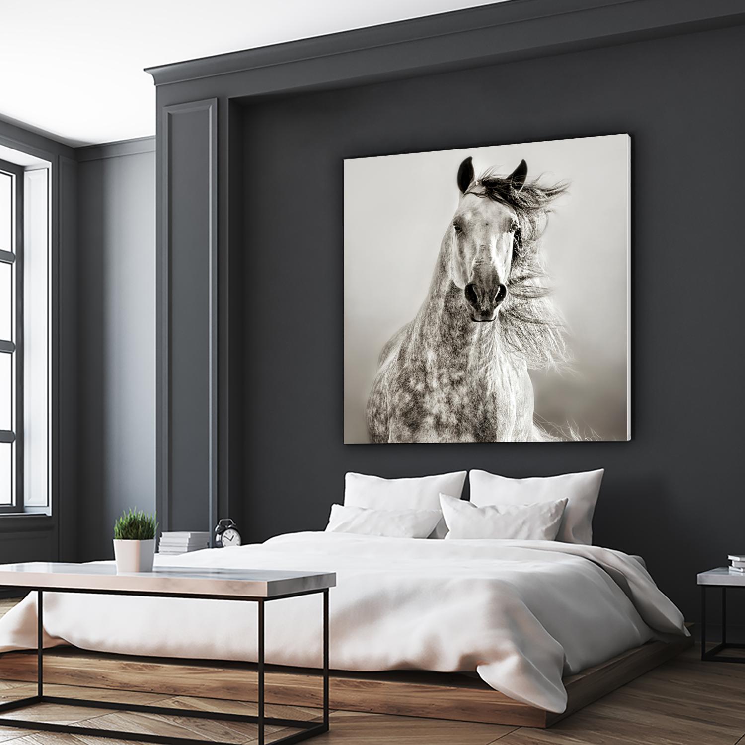 Caballo de Andaluz by Lisa Dearing on GIANT ART - grey animals