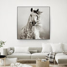 Caballo de Andaluz by Lisa Dearing on GIANT ART - grey animals