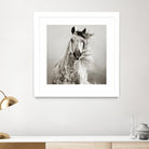 Caballo de Andaluz by Lisa Dearing on GIANT ART - grey animals