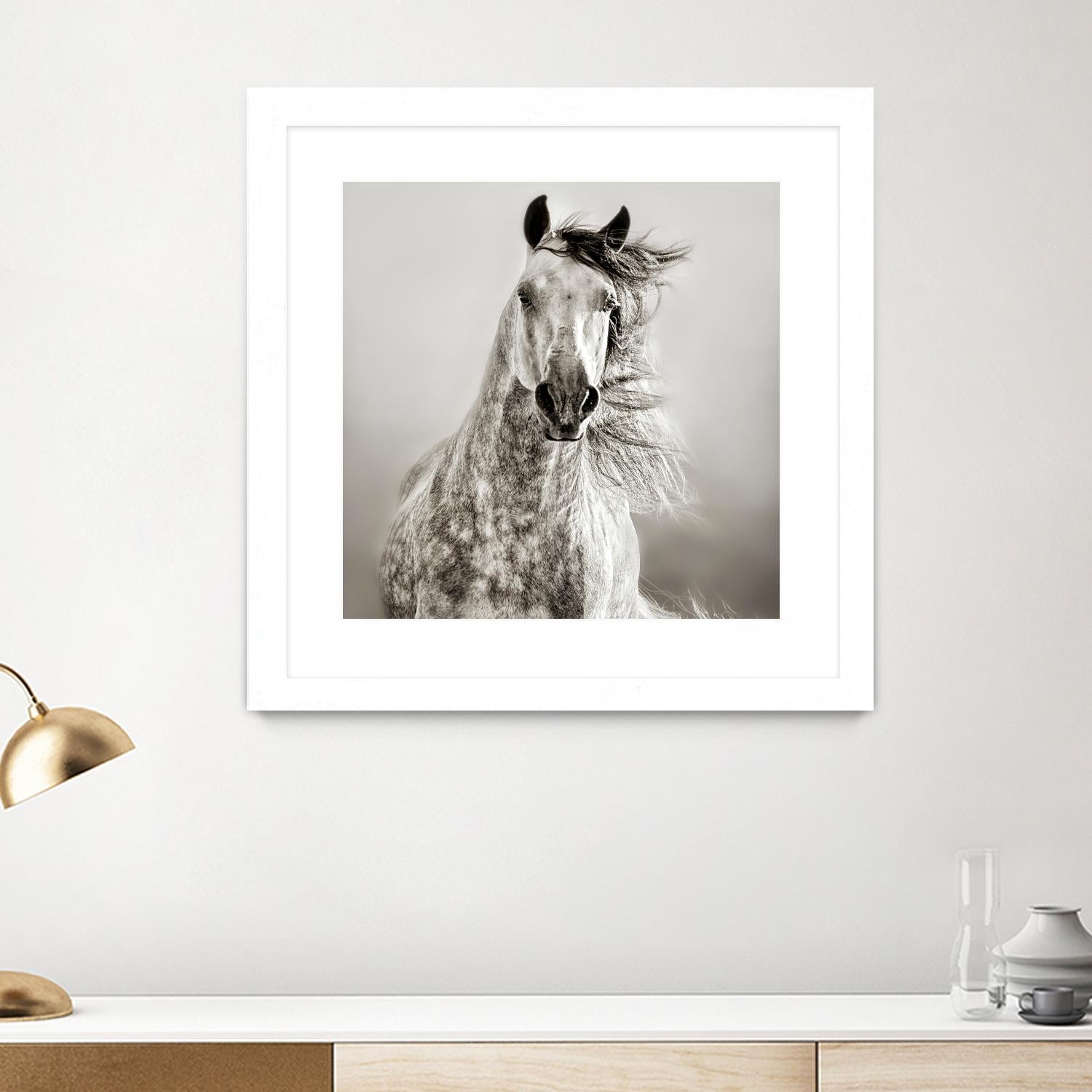 Caballo de Andaluz by Lisa Dearing on GIANT ART - grey animals