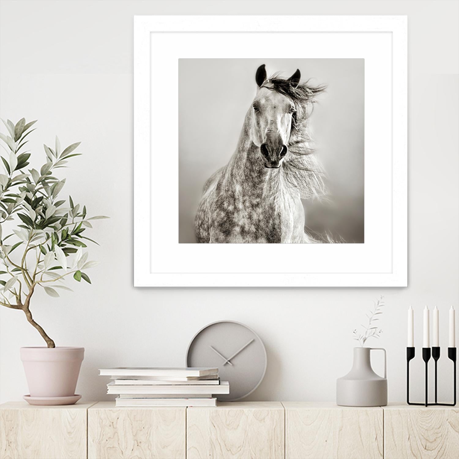 Caballo de Andaluz by Lisa Dearing on GIANT ART - grey animals