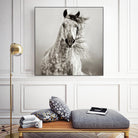 Caballo de Andaluz by Lisa Dearing on GIANT ART - grey animals