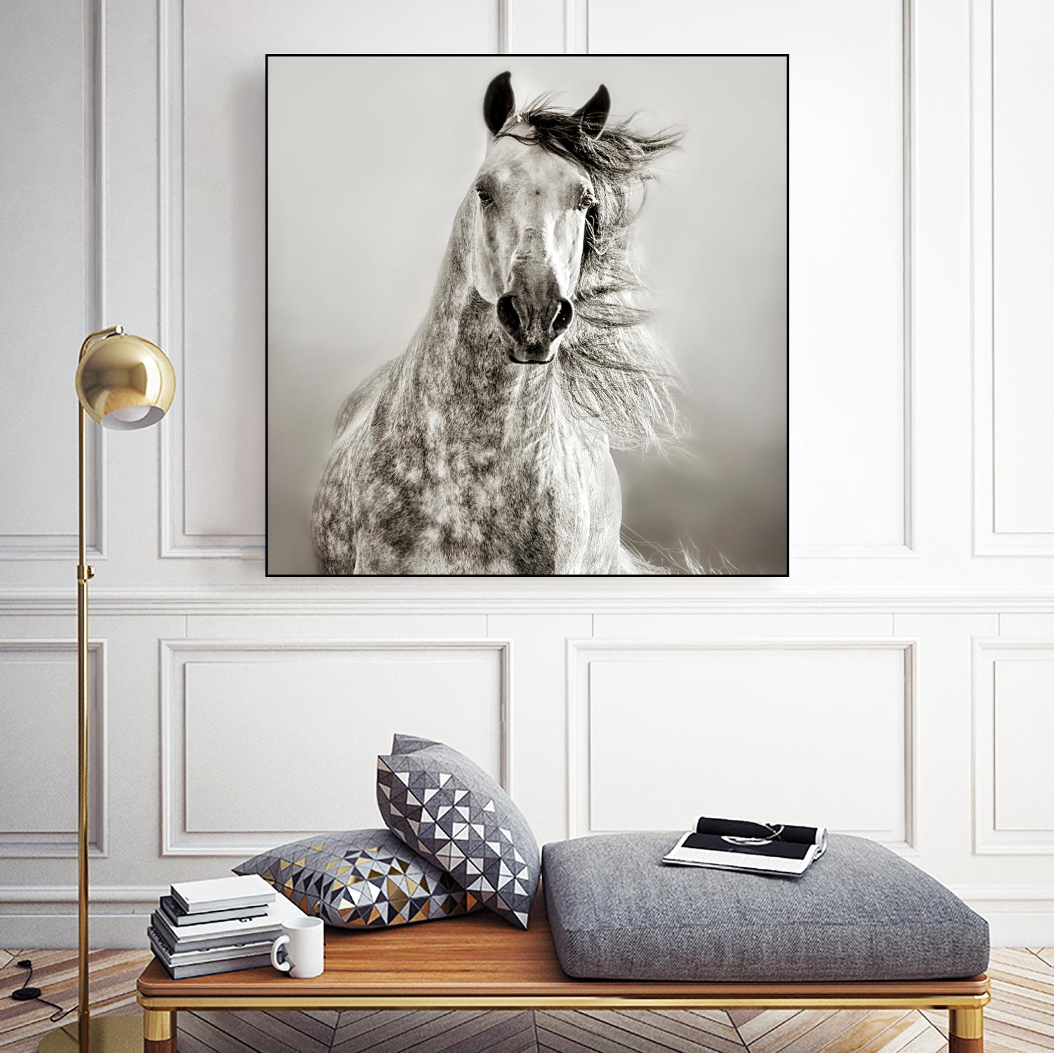 Caballo de Andaluz by Lisa Dearing on GIANT ART - grey animals