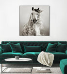 Caballo de Andaluz by Lisa Dearing on GIANT ART - grey animals