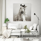Caballo de Andaluz by Lisa Dearing on GIANT ART - grey animals