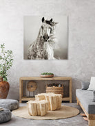 Caballo de Andaluz by Lisa Dearing on GIANT ART - grey animals