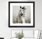 Caballo de Andaluz by Lisa Dearing on GIANT ART - grey animals