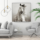 Caballo de Andaluz by Lisa Dearing on GIANT ART - grey animals