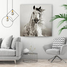 Caballo de Andaluz by Lisa Dearing on GIANT ART - grey animals