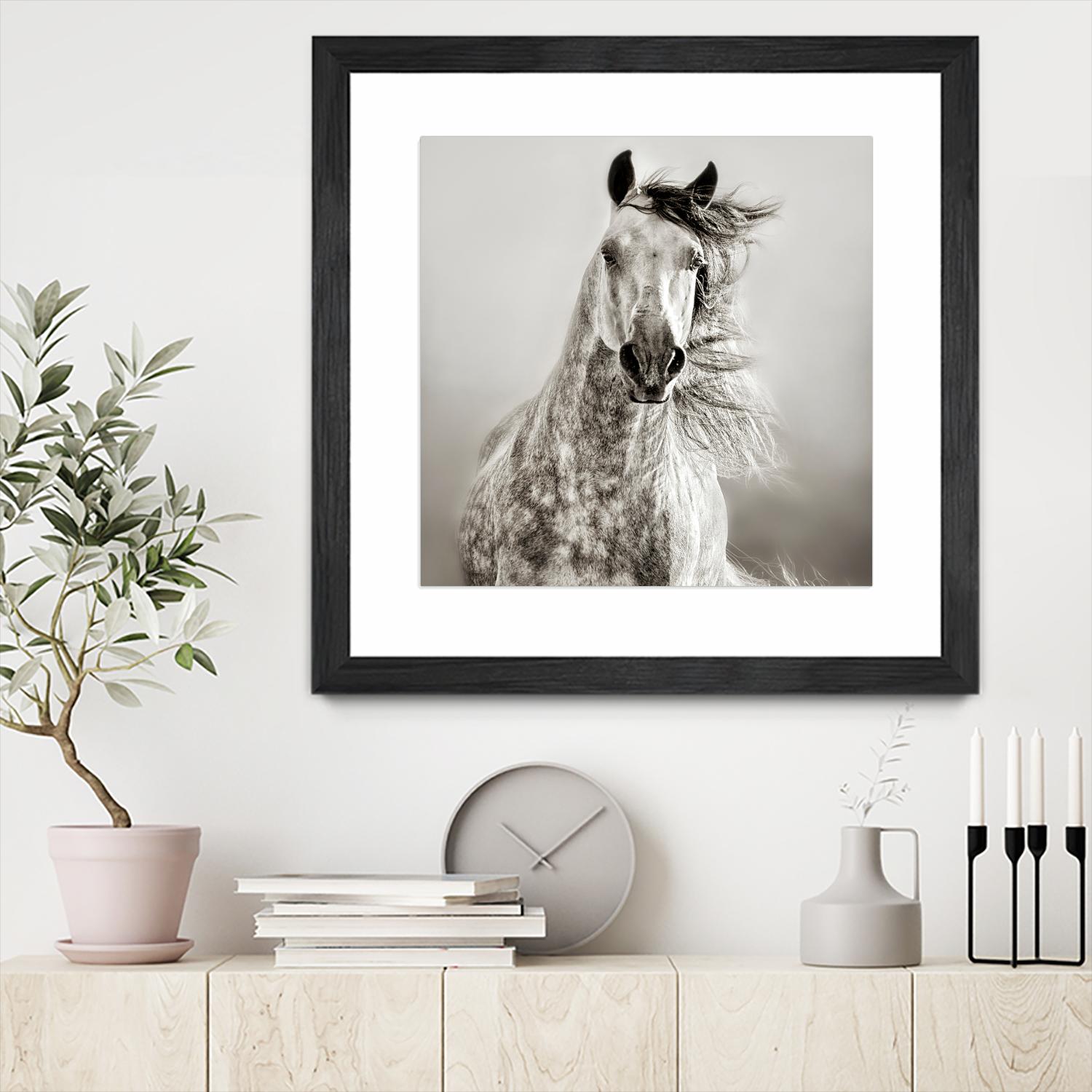 Caballo de Andaluz by Lisa Dearing on GIANT ART - grey animals