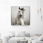 Caballo de Andaluz by Lisa Dearing on GIANT ART - grey animals