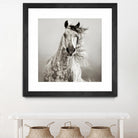 Caballo de Andaluz by Lisa Dearing on GIANT ART - grey animals