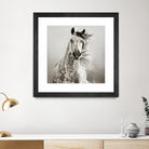 Caballo de Andaluz by Lisa Dearing on GIANT ART - grey animals