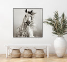 Caballo de Andaluz by Lisa Dearing on GIANT ART - grey animals