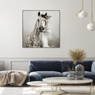 Caballo de Andaluz by Lisa Dearing on GIANT ART - grey animals