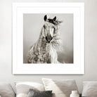 Caballo de Andaluz by Lisa Dearing on GIANT ART - grey animals
