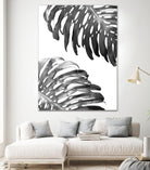 Double Philodendron (BW) by Lexie Greer on GIANT ART - multicolor photography; floral/still life