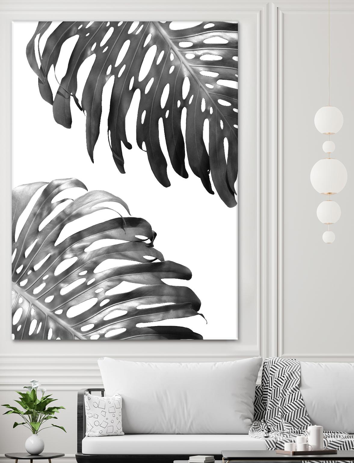 Double Philodendron (BW) by Lexie Greer on GIANT ART - multicolor photography; floral/still life
