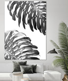Double Philodendron (BW) by Lexie Greer on GIANT ART - multicolor photography; floral/still life