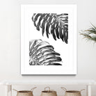 Double Philodendron (BW) by Lexie Greer on GIANT ART - multicolor photography; floral/still life