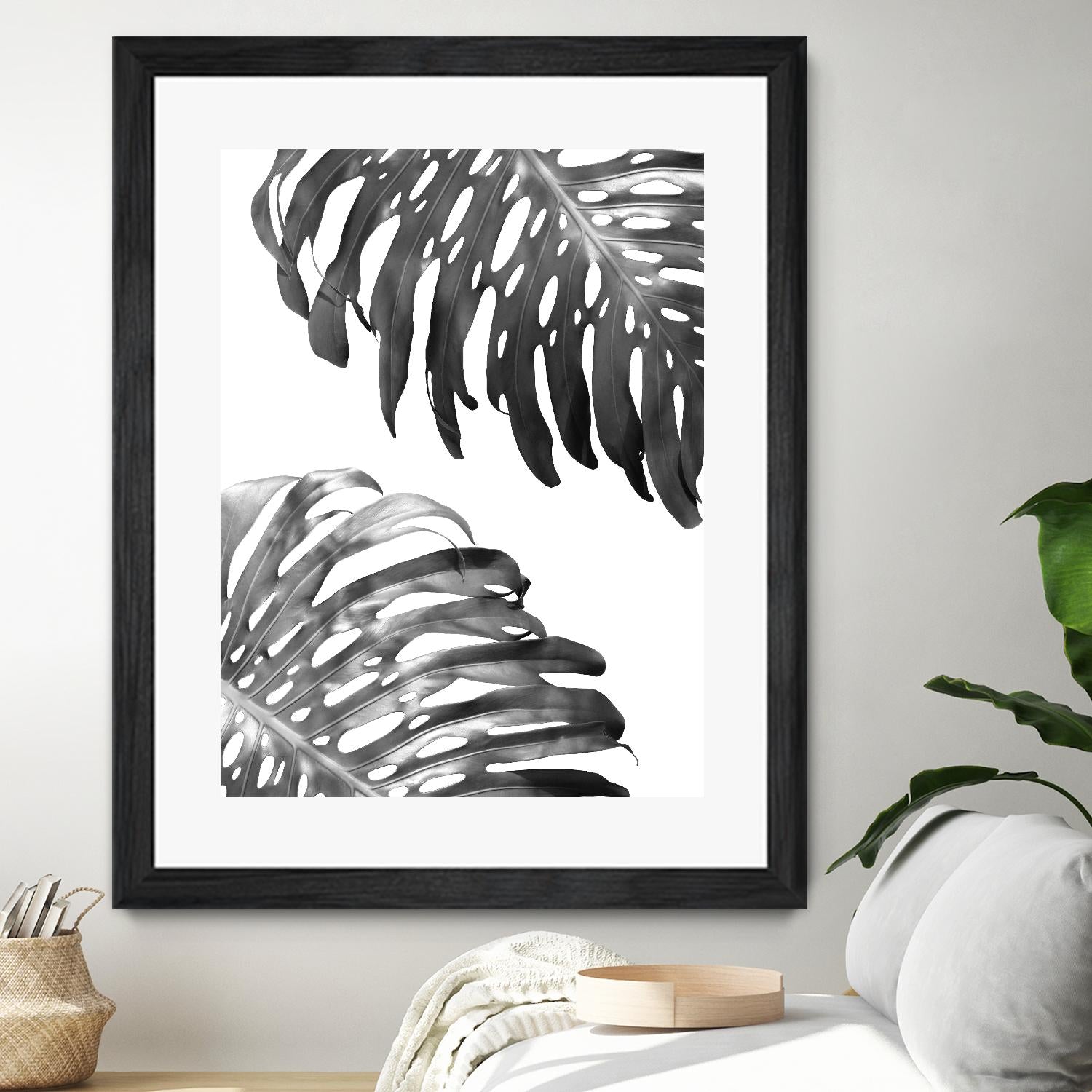 Double Philodendron (BW) by Lexie Greer on GIANT ART - multicolor photography; floral/still life